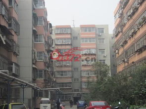 安阳北关区 机床厂家属院 房产频