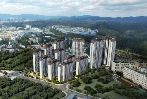 上新 吹风价1.5万 平 大华低价挑战 东三环