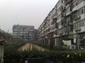 黑窑厂西里租房,7500元 月,陶然亭公园 地铁二居室 配套完善 适合一家人居住 老业主随时看房 北京黑窑厂西里租房 推推99北京房产网