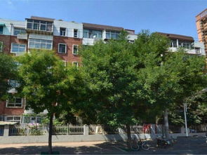 石家庄热电四厂宿舍居住体验与周边房产市场观察