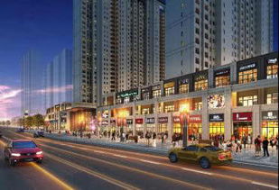 龙湖紫宸商铺投资价值解析 产品力为王，聚焦西安城市发展